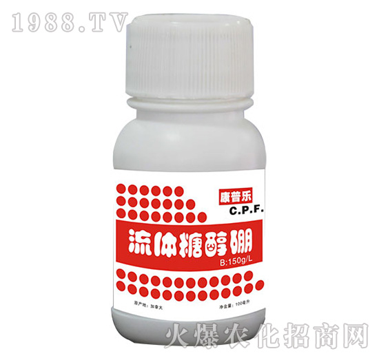 ���w�Ǵ���-�r�_����