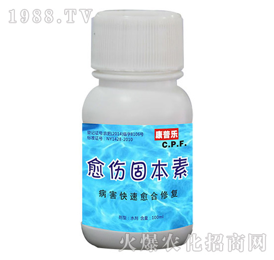 �����̱���-�r(n��ng)�_����