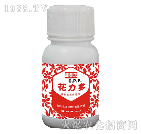 �����ࣨ��ѿ�����T��(d��o)����-�r(n��ng)�_(d��)����