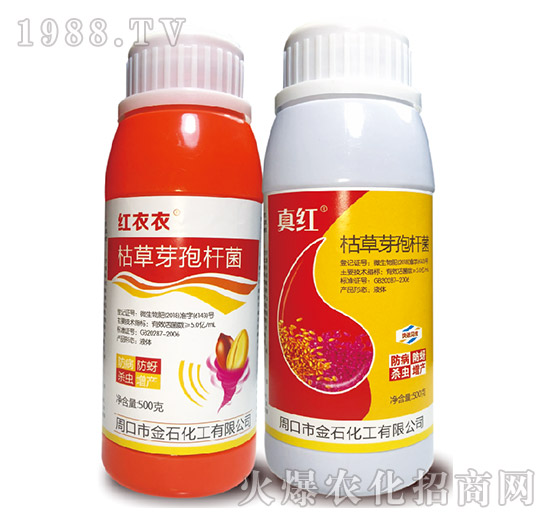 �ݲ�ѿ�ߗU��-��ʯ