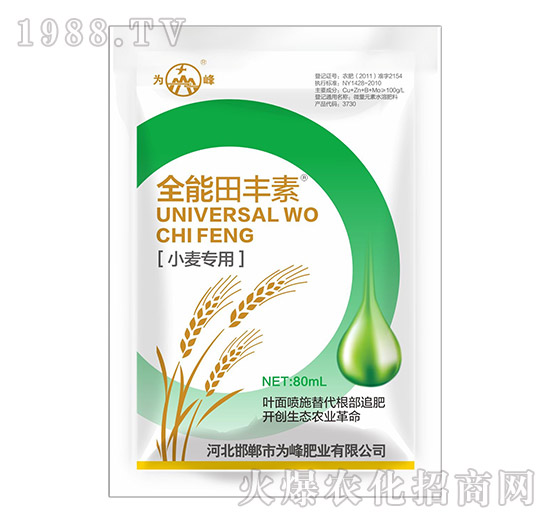 С������ȫ�����S��-���