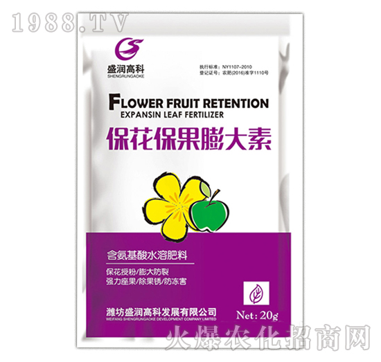 �������������-ʢ���߿�