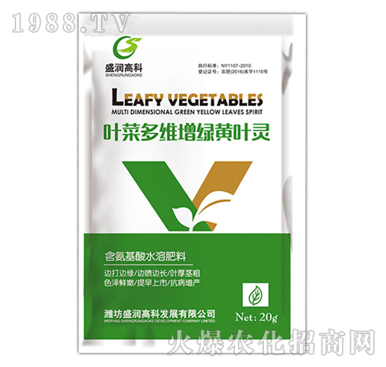 �~�˶�S���G�S�~�`-ʢ���߿�