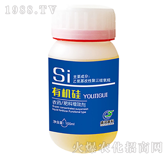 �ЙC(j��)��-ʢ��(r��n)�߿�