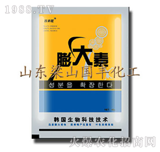 �����-��ɽ���S