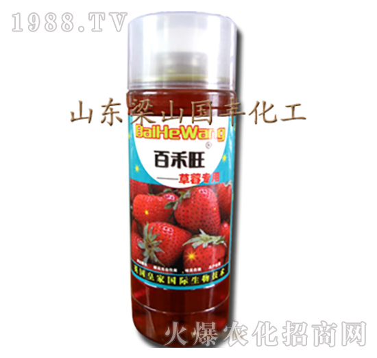 ��ݮ�����~���-��ɽ���S