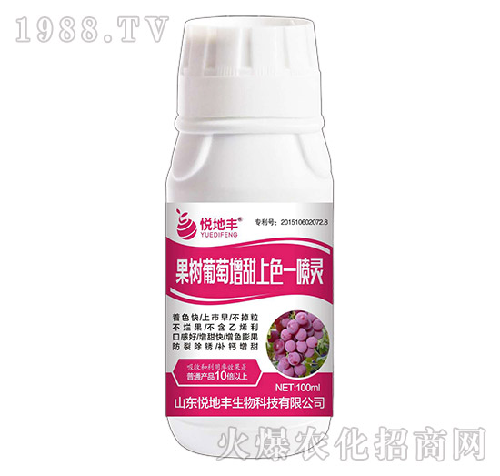 ��������һ���`-�����S