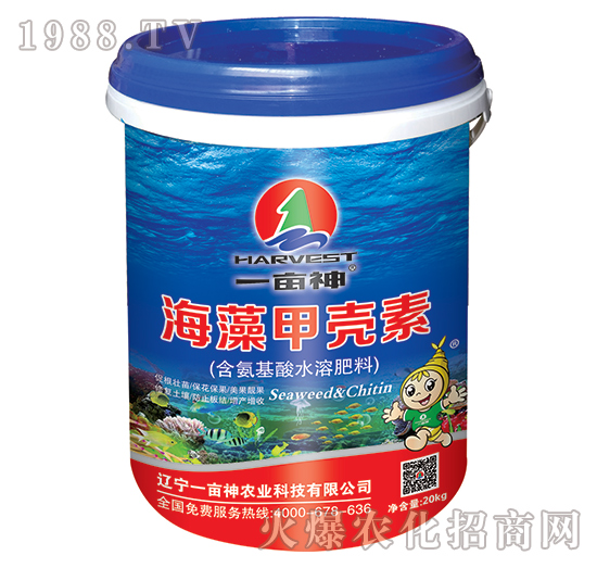 ����ך���-һ����