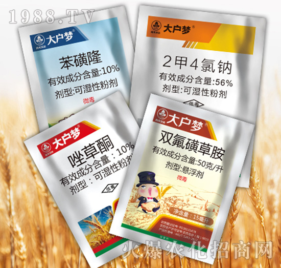 ����4�M��-�к����_(d��)