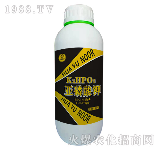 �������K2HPOS-�Z��