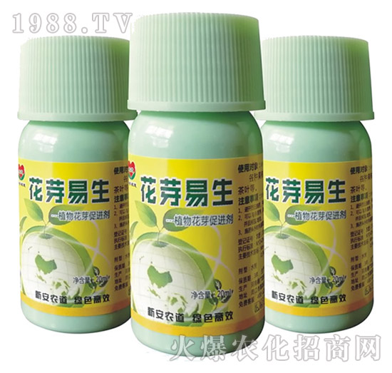 ֲ�ﻨѿ���M��-��ѿ����-�°��r(n��ng)��