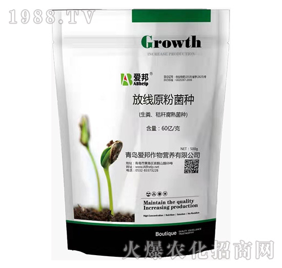 �ž�ԭ�۾��N-�۰�