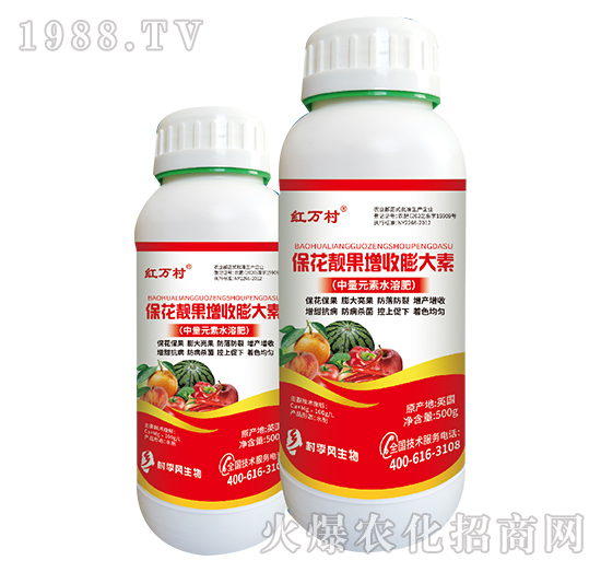 �����n�����������-���˹����r(n��ng)��