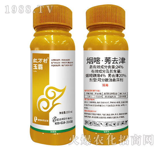 24%���ס�ݬȥ��-���-���˹����r��