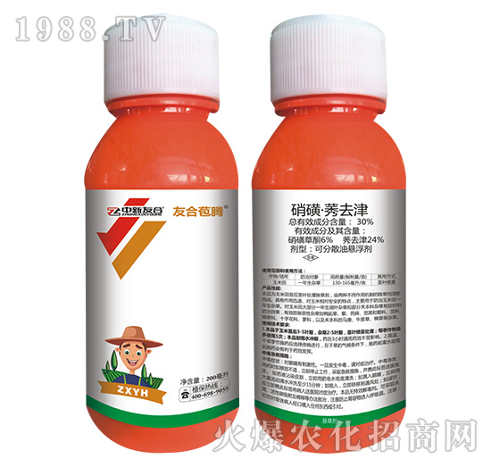 30%���ǡ�ݬȥ��-�Ѻϰ��v-�����Ѻ�