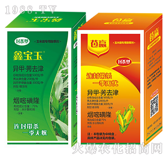 �Ό���+���A-�����Ѻ�