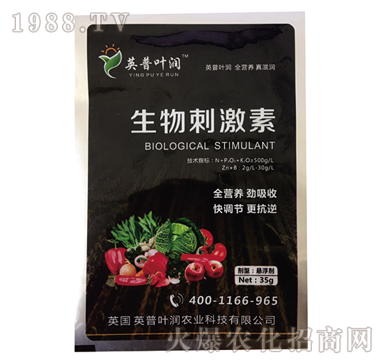 ����̼���-Ӣ���~��