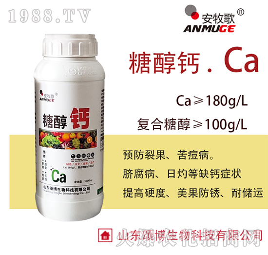 �Ǵ��}-ힲ�����