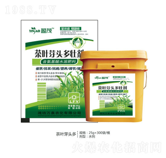 ���~ѿ�^���ф�-�fȪ�r��