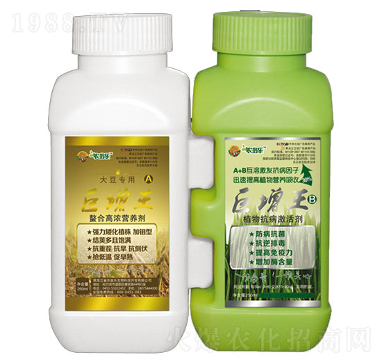 �������󶹌���-�r(n��ng)�̘�(l��)