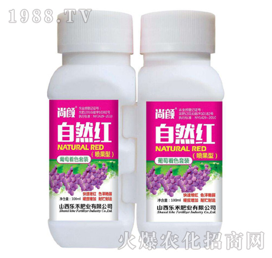 自然紅噴果型-樂禾