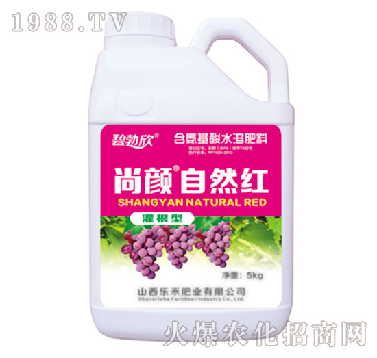 ���?zh��n)�Ȼ�t-����