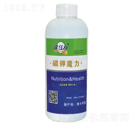 ���ħ��-���R��-�а����r