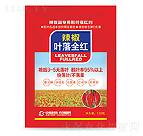 �����~��ȫ�t-�����Ƽ�