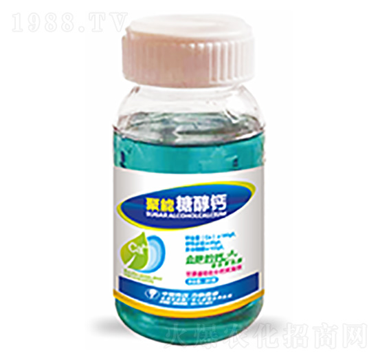 �����Ǵ��}-�����Ƽ�