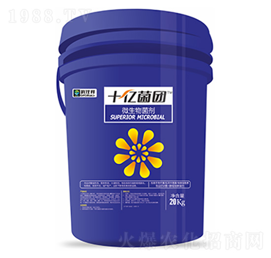 ΢�������-ʮ�|���F-�����Ƽ�