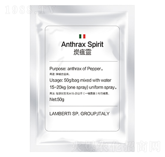 ̿���`-�����Ƽ�