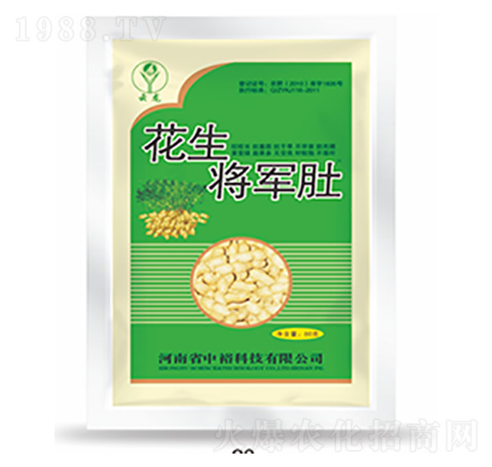 ������܊��-�����Ƽ�