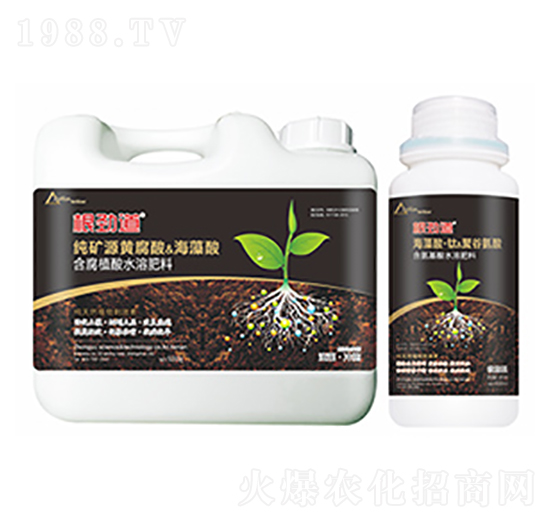 ���ŵ�-�����Ƽ�