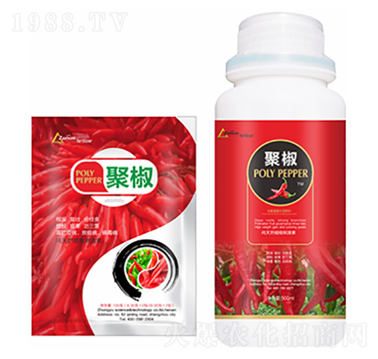 �۽�-�����Ƽ�