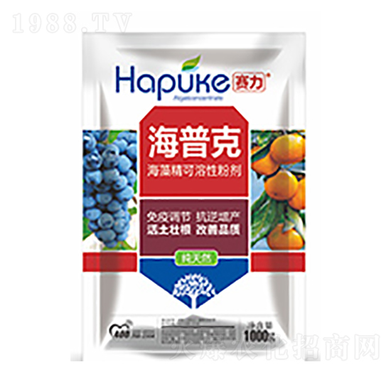 ِ�����տ�-�����Ƽ�