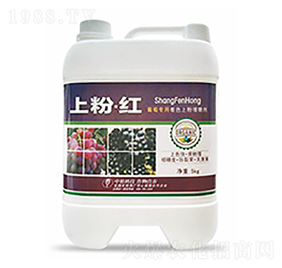 �Ϸۡ��t-�����Ƽ�