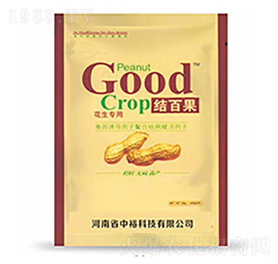 �Y(ji��)�ٹ�-�����Ƽ�