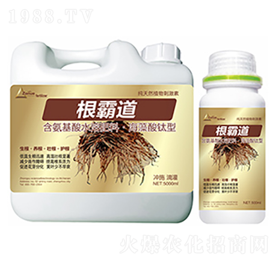 ���Ե�-�����Ƽ�