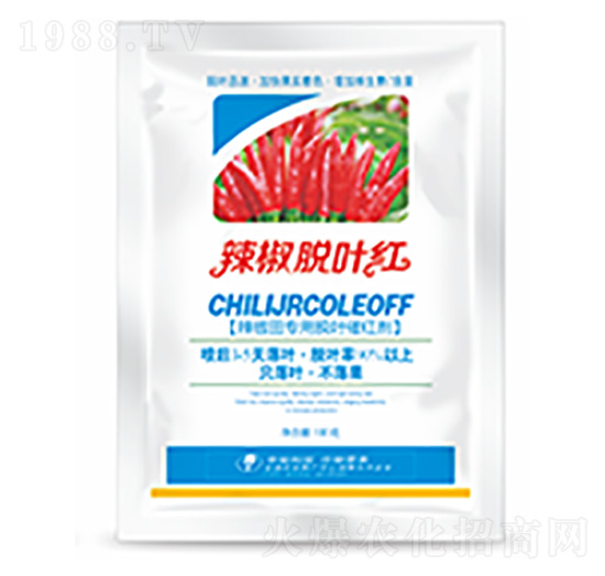 ����Ó�~�t-�����Ƽ�