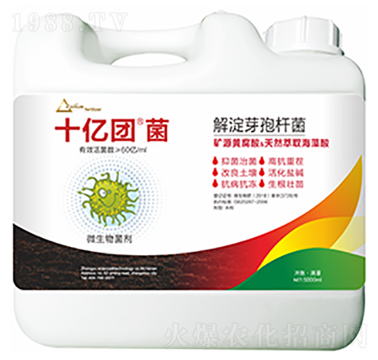 ���ѿ�ߗU��-ʮ�|�F��-�����Ƽ�