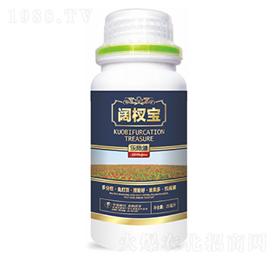 �辌�-�����Ƽ�