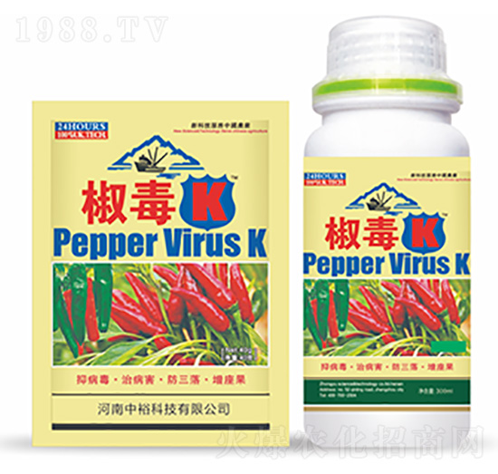 ����K-�����Ƽ�