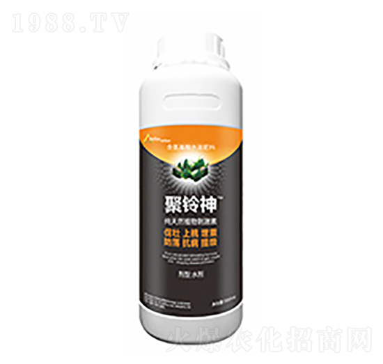 �����-�����Ƽ�