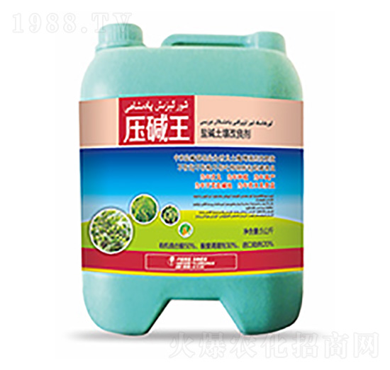 �}�A����������-���A��-�����Ƽ�