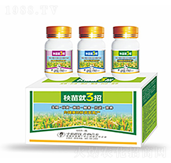 秧苗就3招-中?？萍? style=