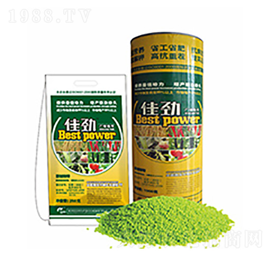 �ф�-�����Ƽ�