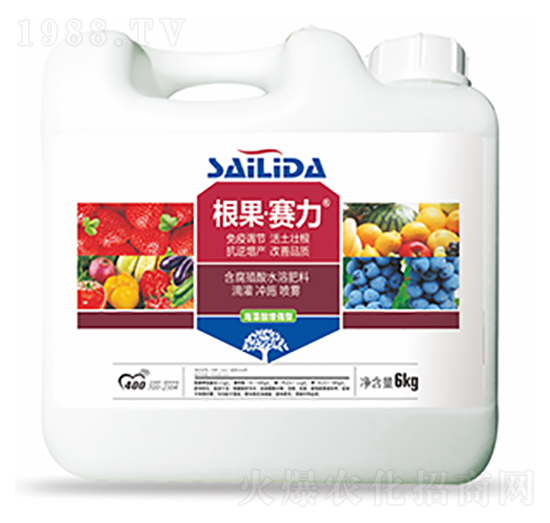 ����ِ��-�����Ƽ�