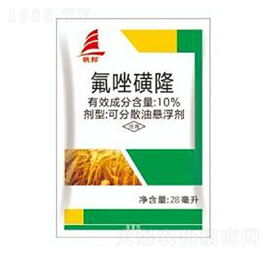 10%�����¡-ϲ�S��