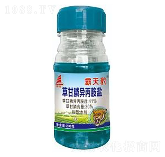 41%�ݸ�좮������}-���챪-ϲ�S��