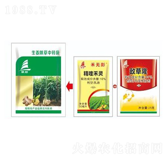 �������s�ݽ�Q����-ϲ�S��